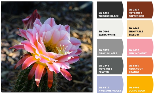 Screen Shot 2012-06-08 at 5.23.21 PM