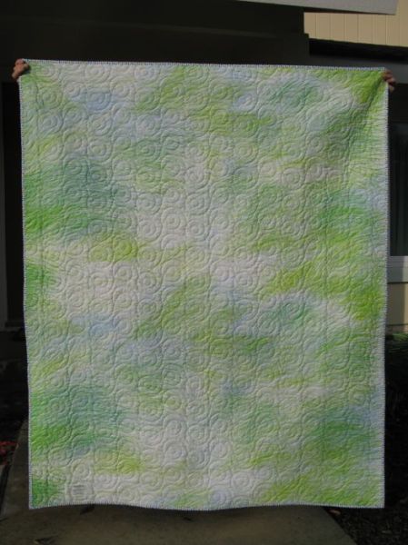 Snapshot Quilt back