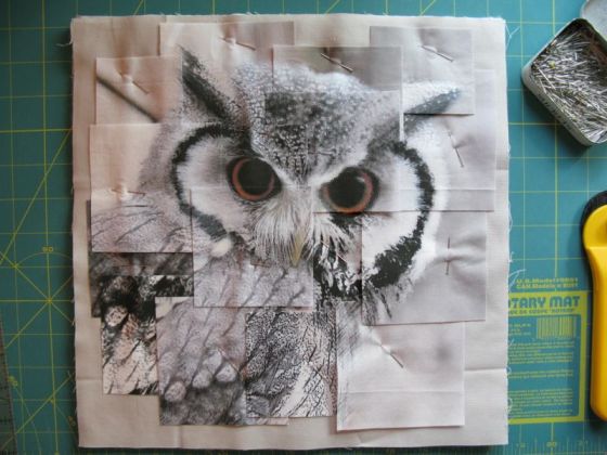 Congruence Owl quilt 1 layout