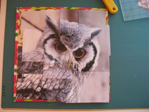 Congruence Owl quilt construction 1