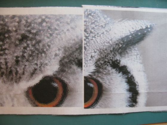 Congruence Owl quilt construction 4