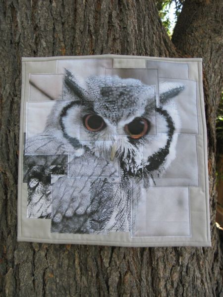 Congruence Owl quilt front 2