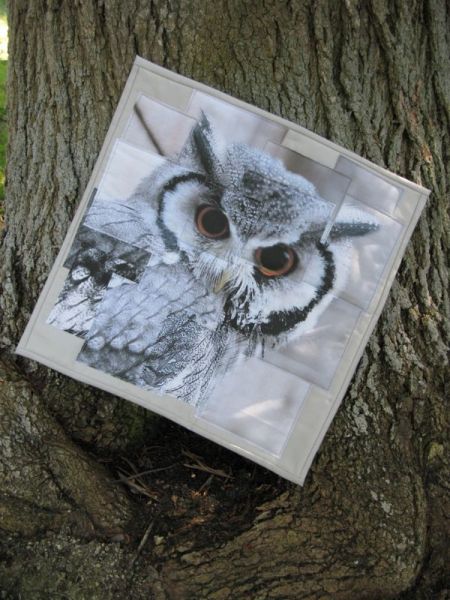 Congruence Owl quilt front tilted