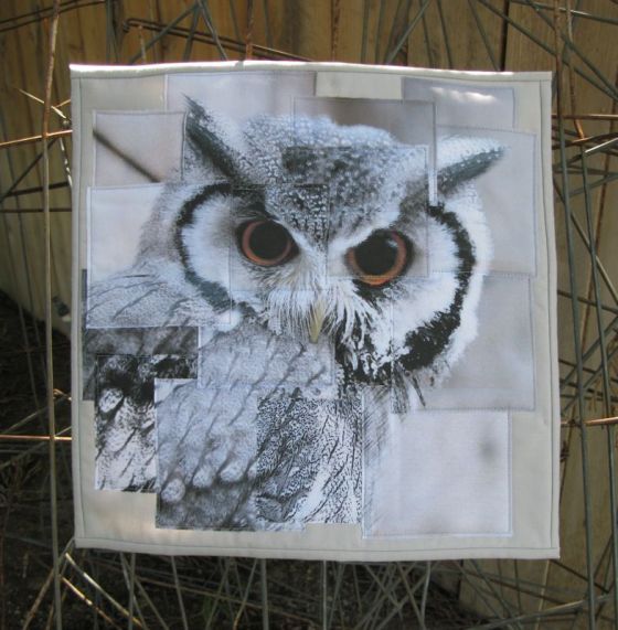 Congruence Owl quilt front