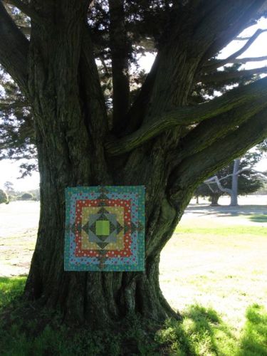 Juxtaposition and Cypress