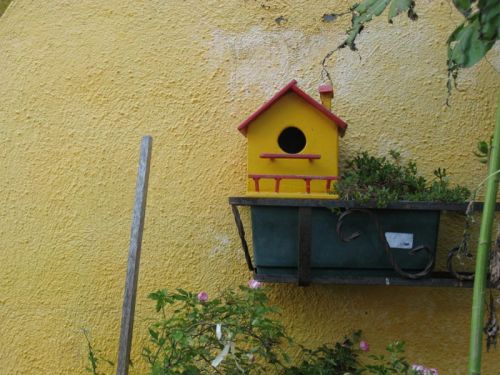 Birdhouse Burano