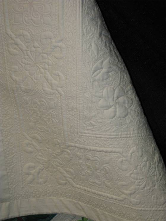 WilsonMagicCarpetRide_back