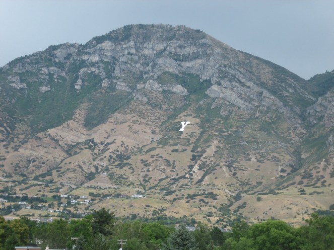 Y Mountain Provo