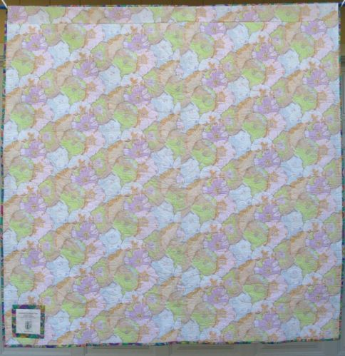 Lollypop Trees Quilt_final Back