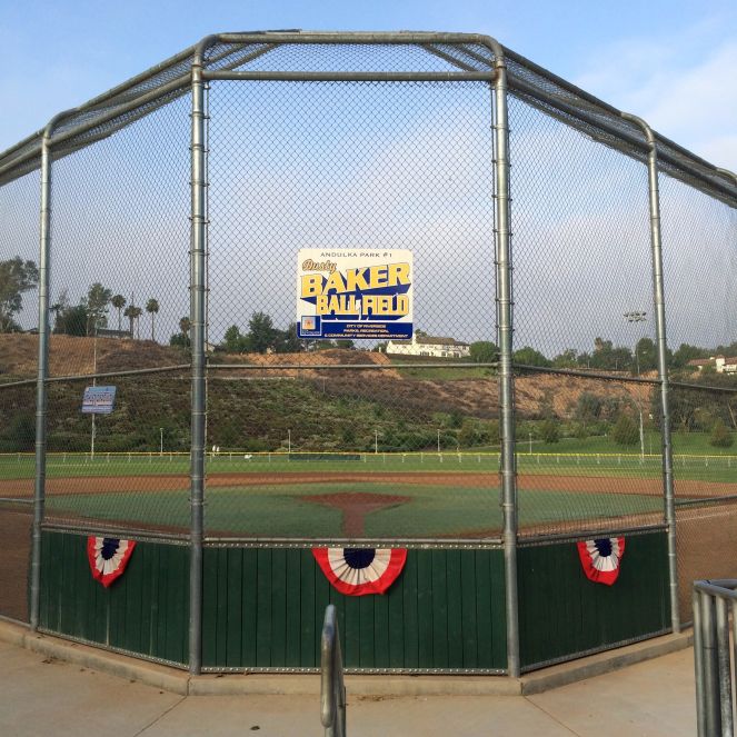 Baker Ballfield Backstop