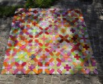Libellen Quilts Cross-X