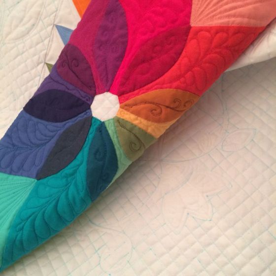 colorwheel blossom beauty shot