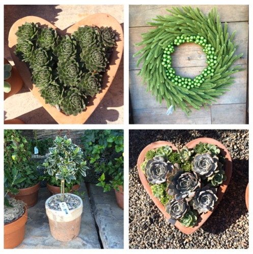 Screen Shot 2014-11-11 at 8.35.54 PM