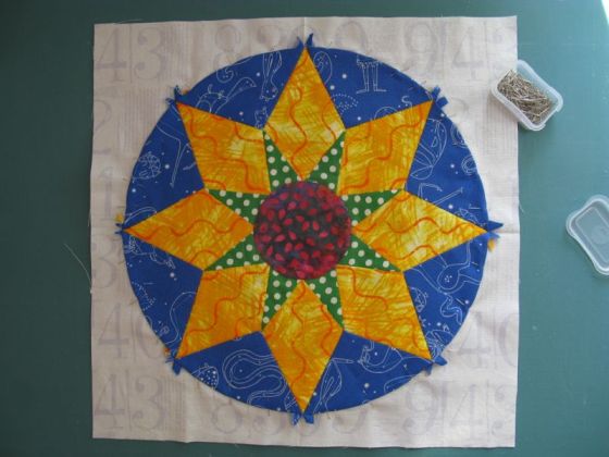 Circles9_star pinned on