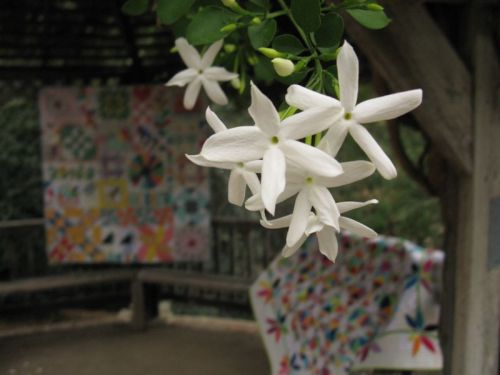 Two quilts with flowers