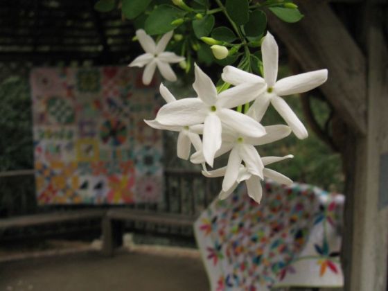 Two quilts with flowers
