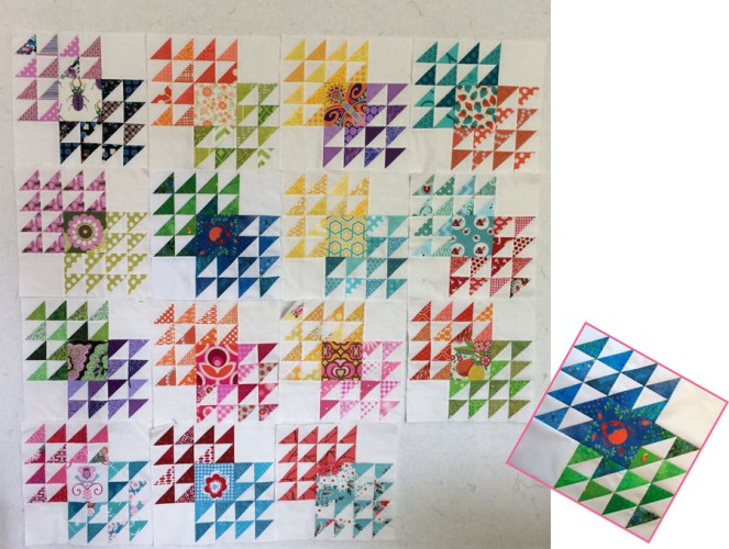 MCM_Wiens Bird in Air