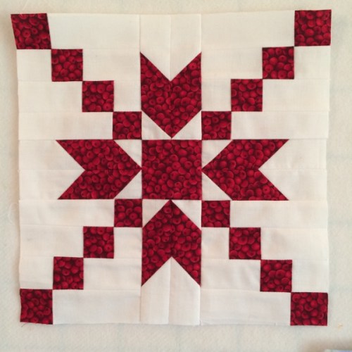 MCM Bee Block July2105