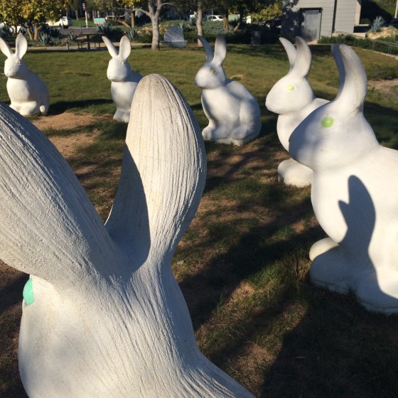 bunnyhenge