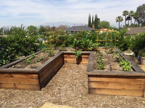 planted garden_April16