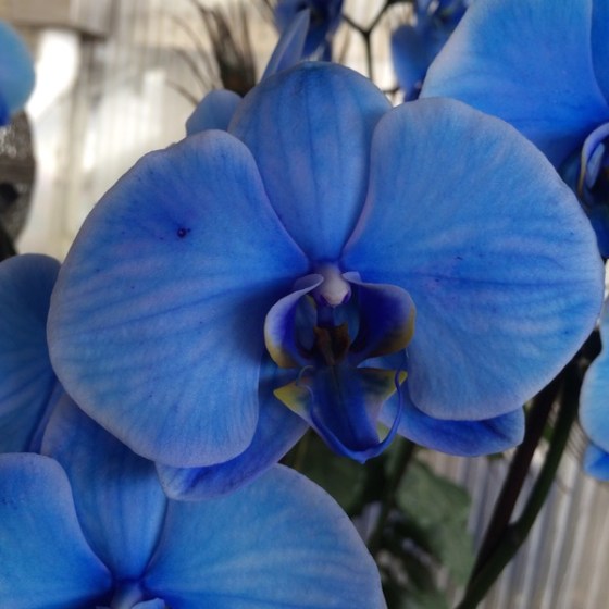 quiltretreat2016_orchid1