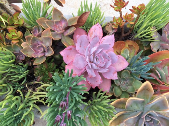 quiltretreat2016_orchid1d