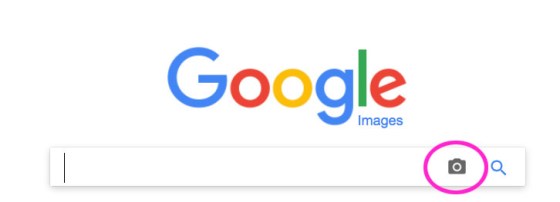 image-search6