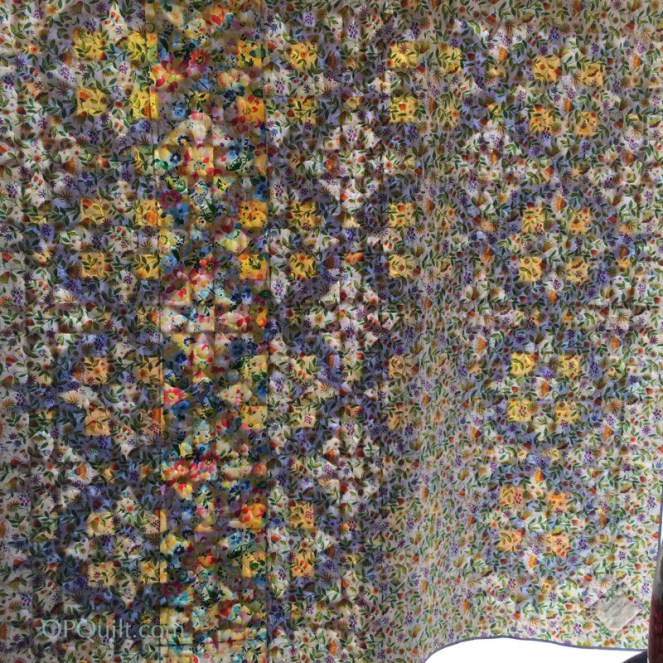 BelleEtoileduJour_3back