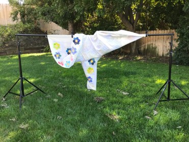 Field Flowers_being photo'ed