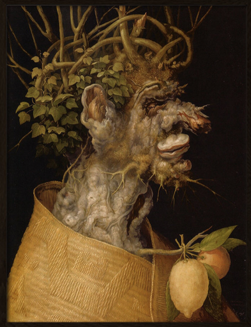 Arcimboldo Winter