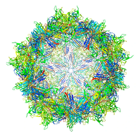 outer shell virus trojan horse