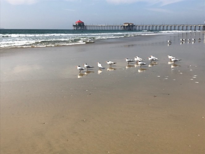 Slow-down, low-down summertime