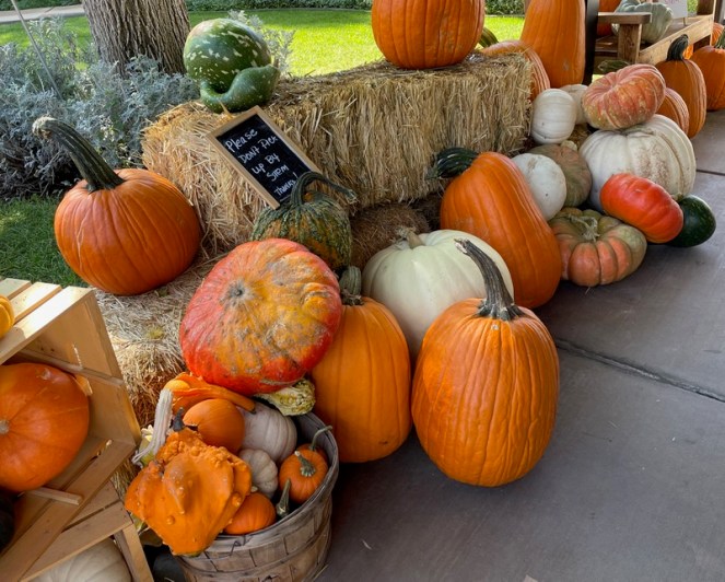 Happy Days and Giveaway