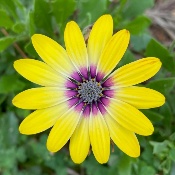 Happy Mother’s Day&nbsp;2022