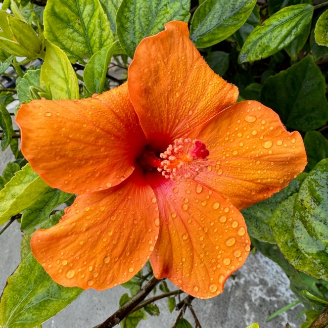 February 2023 • This and&nbsp;That