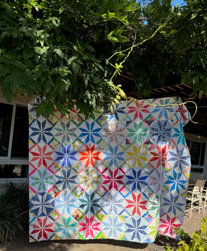 Summer Flowers (aka Posh&nbsp;Penelope)